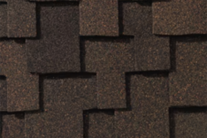 Autumn Brown Autumn Brown