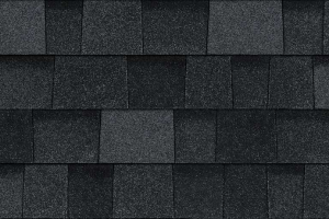 Onyx Black